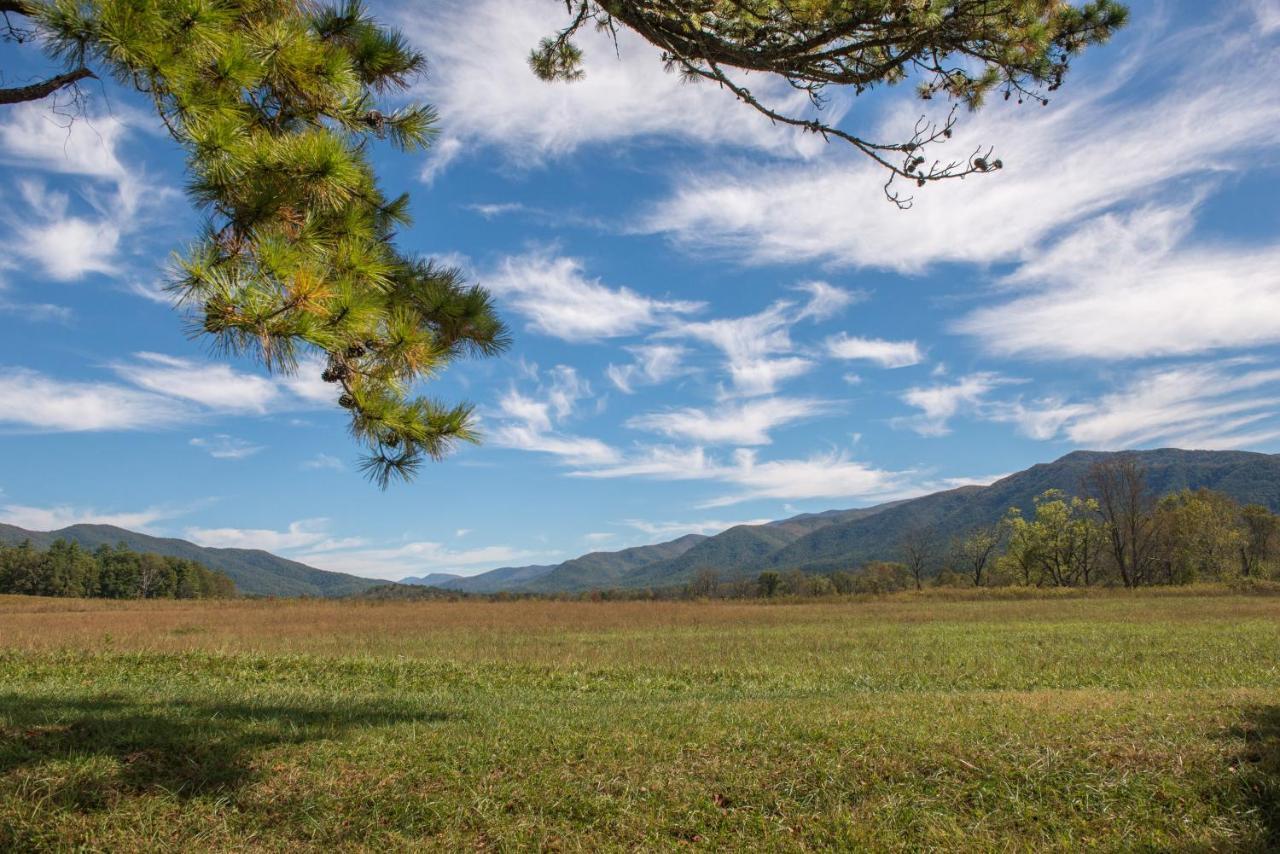 20/20 View Βίλα Shady Grove Εξωτερικό φωτογραφία